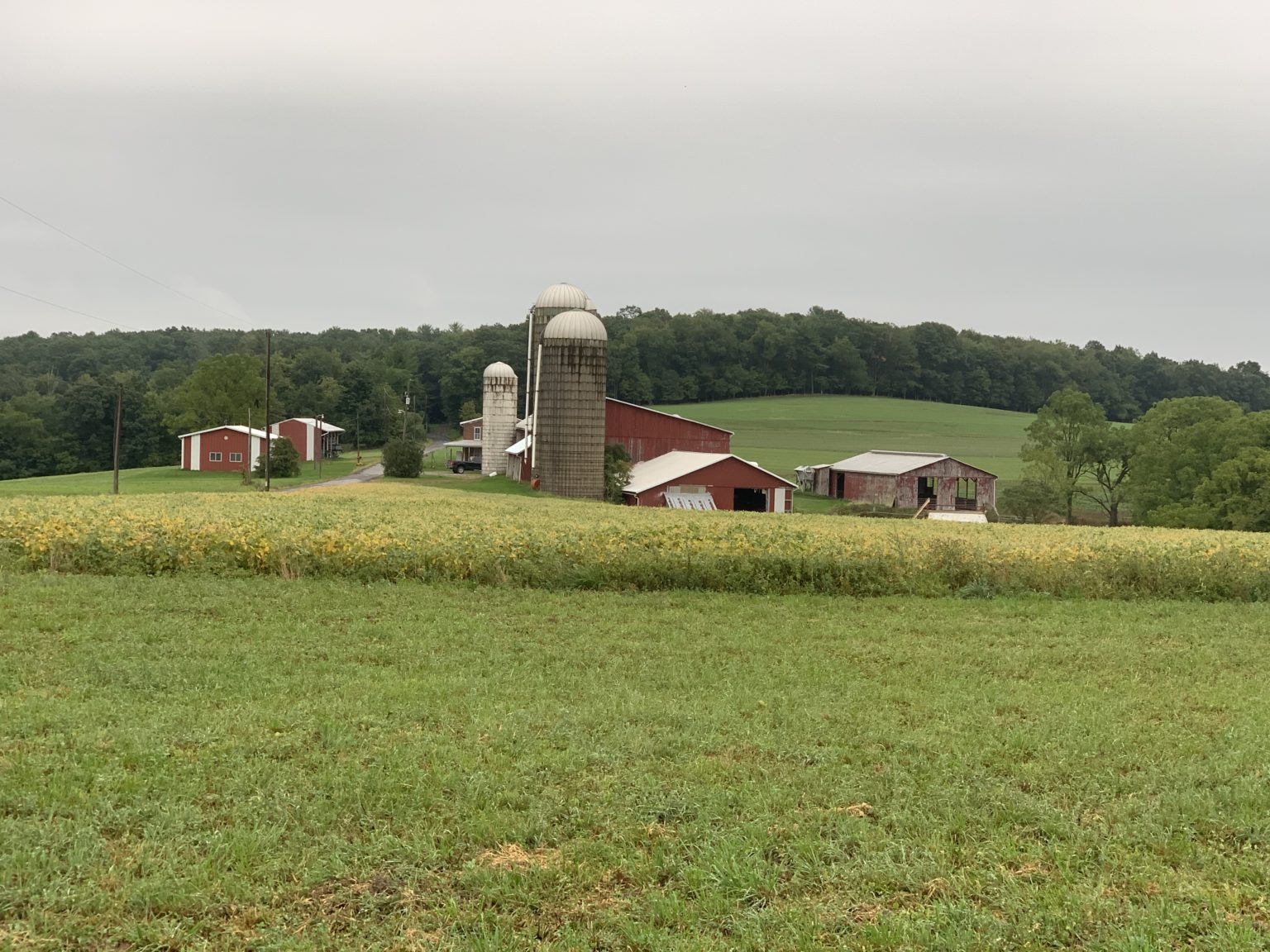 Fraley Auction Company, Inc. Warren Fenstermacher Estate