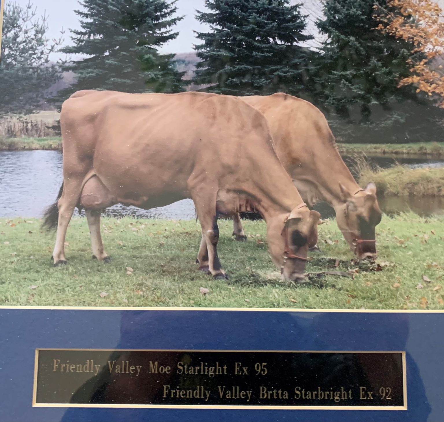 Fraley Auction Company, Inc. Friendly Valley Farm Complete Dispersal