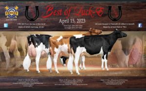 Best of Luck E Holsteins