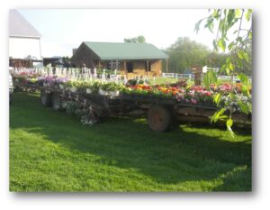 Fraley’s Annual Lawn & Garden Event