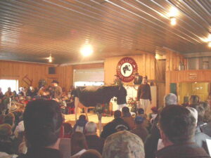 Public Dairy Herd Auction