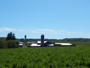 Real Estate & Modern Farm Equipment Auction